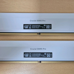 마이크론 크루셜 DDR5 32GB ( 16GB x2) 6400MHz 램 이미지