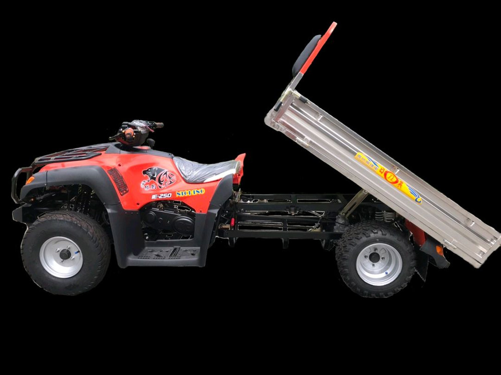 힘좋은 농사용화물덤프ATV 나치노250 이미지