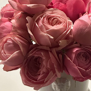 갤러리아 모바일 상품권 티켓 이미지