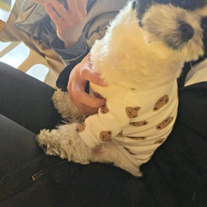 갤럭시탭10플러스 삽니다 이미지