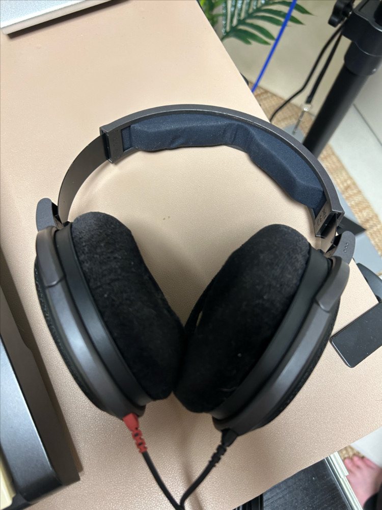 젠하이저 HD600 이미지