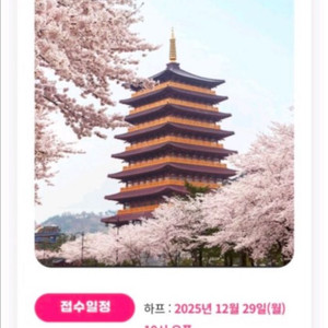 경주벚꽃 마라톤 배번 양도(10km 남여) 이미지