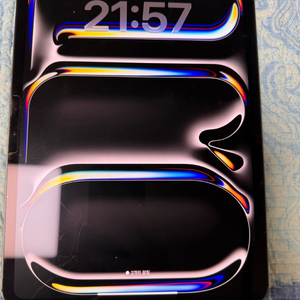 아이패드 프로 m4 11 셀룰러 256gb 이미지