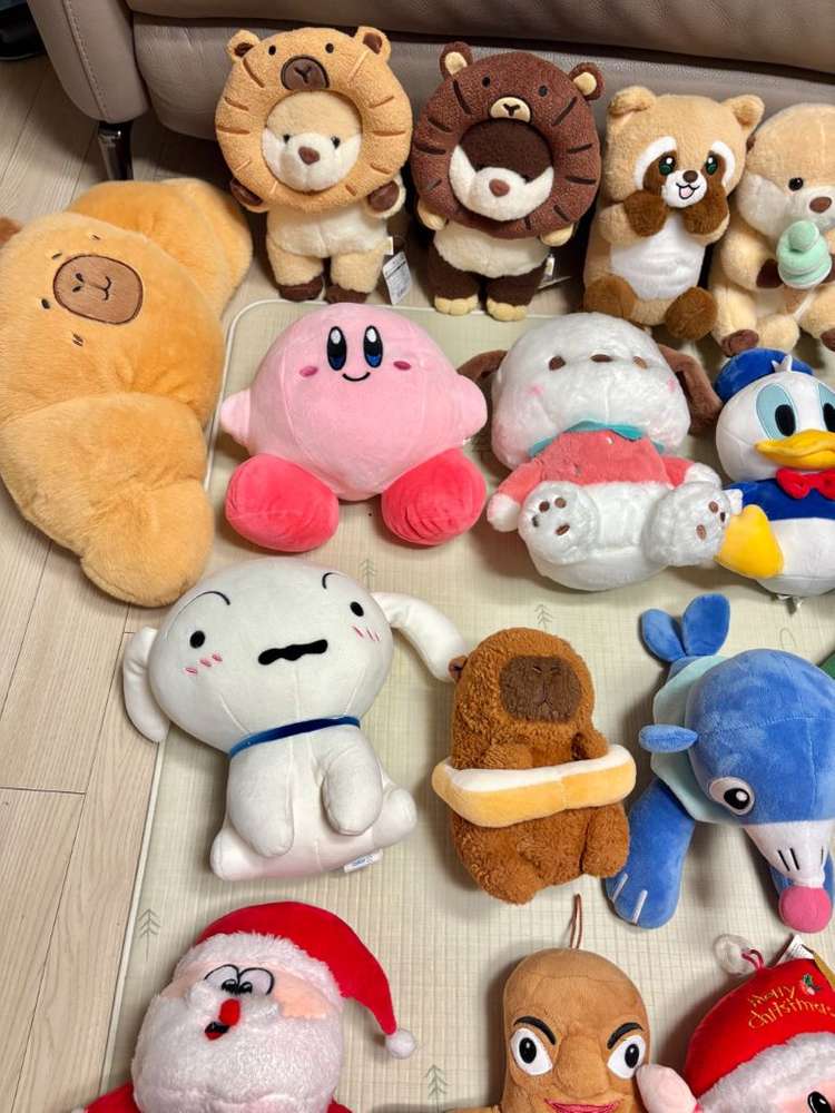 인형뽑기 중형 인형 카피바라 커비 포차코 흰둥이 랏코상 래서판다 투슬리스 도날드덕 산타 고추 이미지