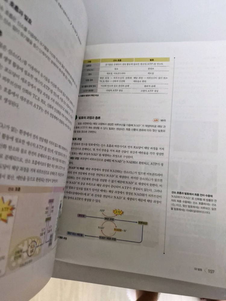동아출판 하이탑 고등학교 생명과학 2 세트 2015 개정 이미지