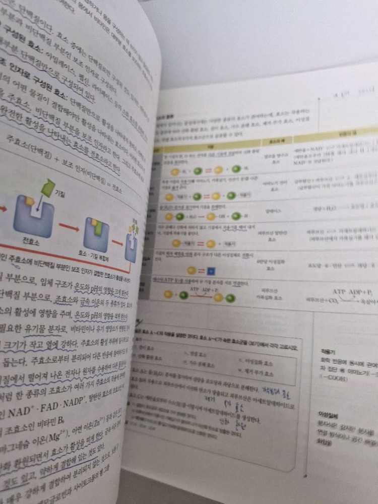 동아출판 하이탑 고등학교 생명과학 2 세트 2015 개정 이미지