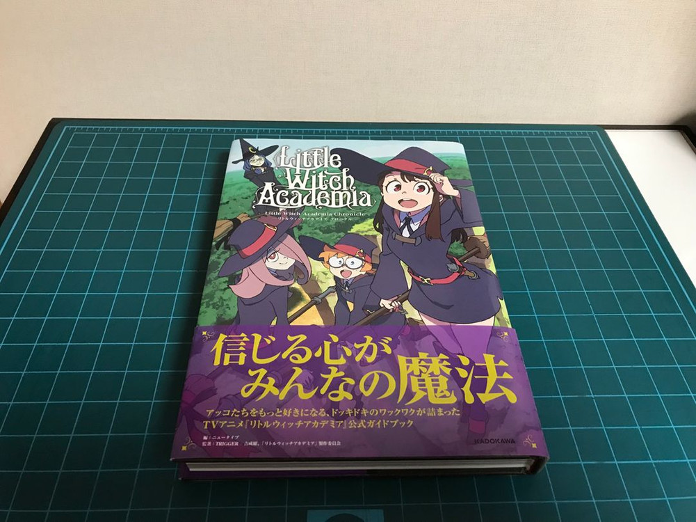 아트북 화집 화보집 원화집 일러스트집 64권 톱을 노려라, 카우보이비밥, 페르소나, 페이트, 히로아카, saitom 이미지