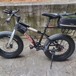 20인치 팻바이크 용품포함 판매합니다 이미지