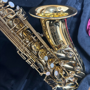 셀마 리퍼런스54 허밍버드 한정판 알토 색소폰 이미지