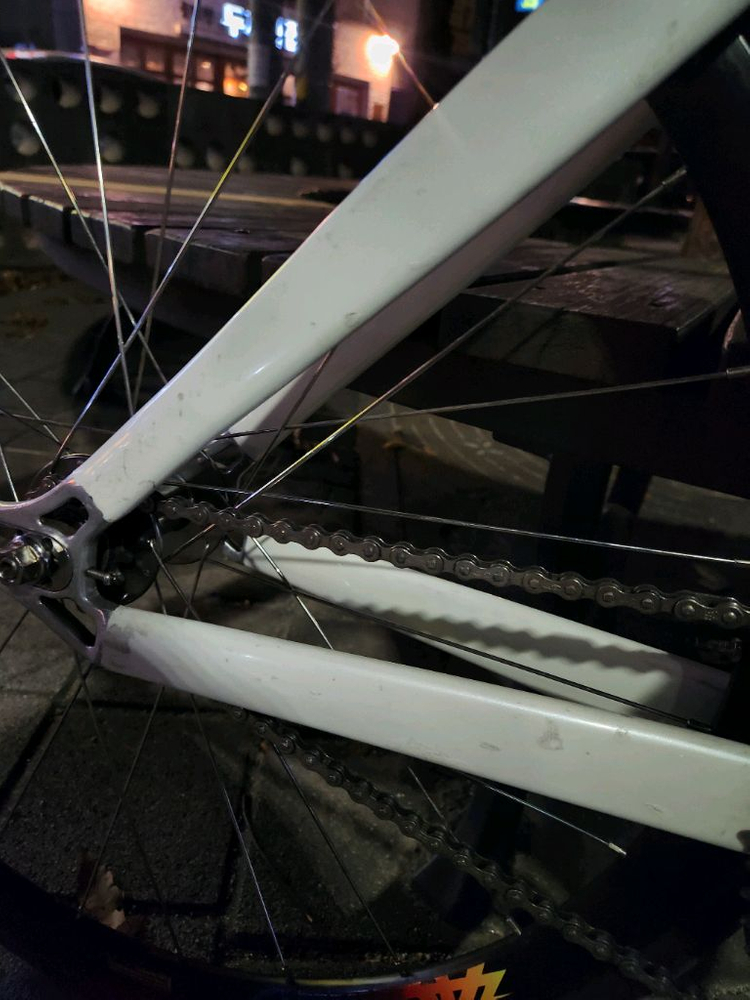 플래닛X 프로카본 픽시 트랙차 반차 판매 이미지