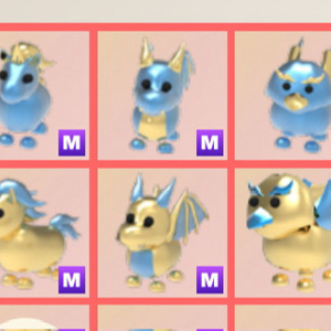 입양하세요 메가네온 다이아몬드 / 황금 펫 처분가로 구합니다! 이미지