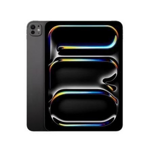 아이패드13프로 256GB 셀룰러 이미지