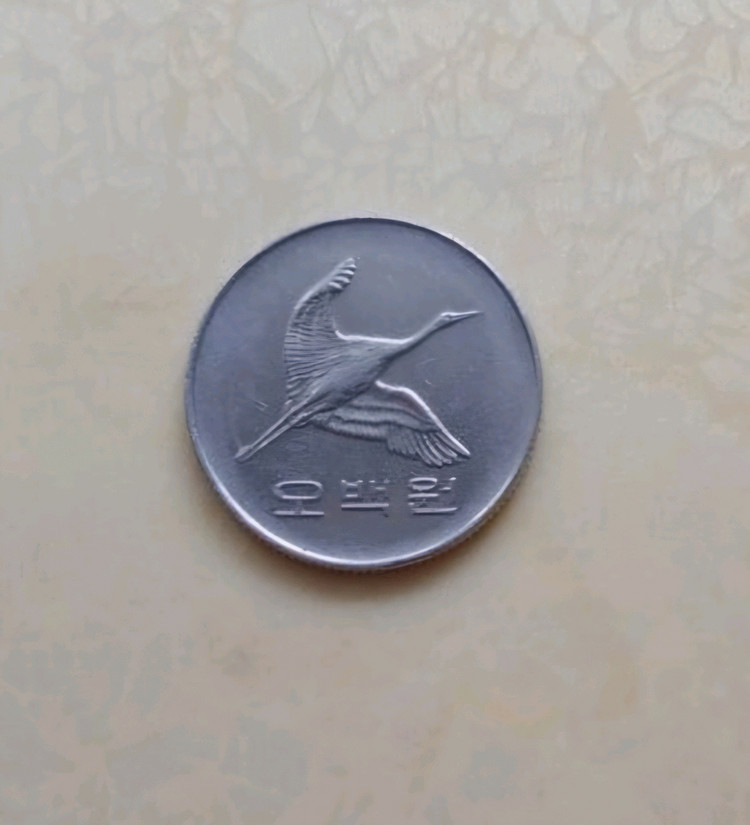 동전수집 1998년 500원 1981년 100원 구입합 이미지