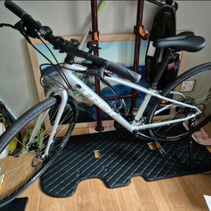 트렉 fx3 이미지