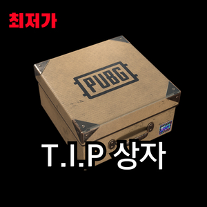 [배그] 최저가 배그 스노우 선글라스 PUBG T.I.P 상자 CDK 이미지