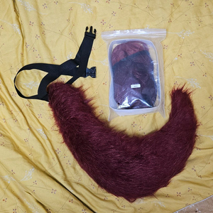 코스프레 스파이 패밀리 명일방주 이미지