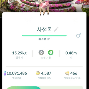 포켓몬고 대만 배경 이로치 사철록 판매 이미지