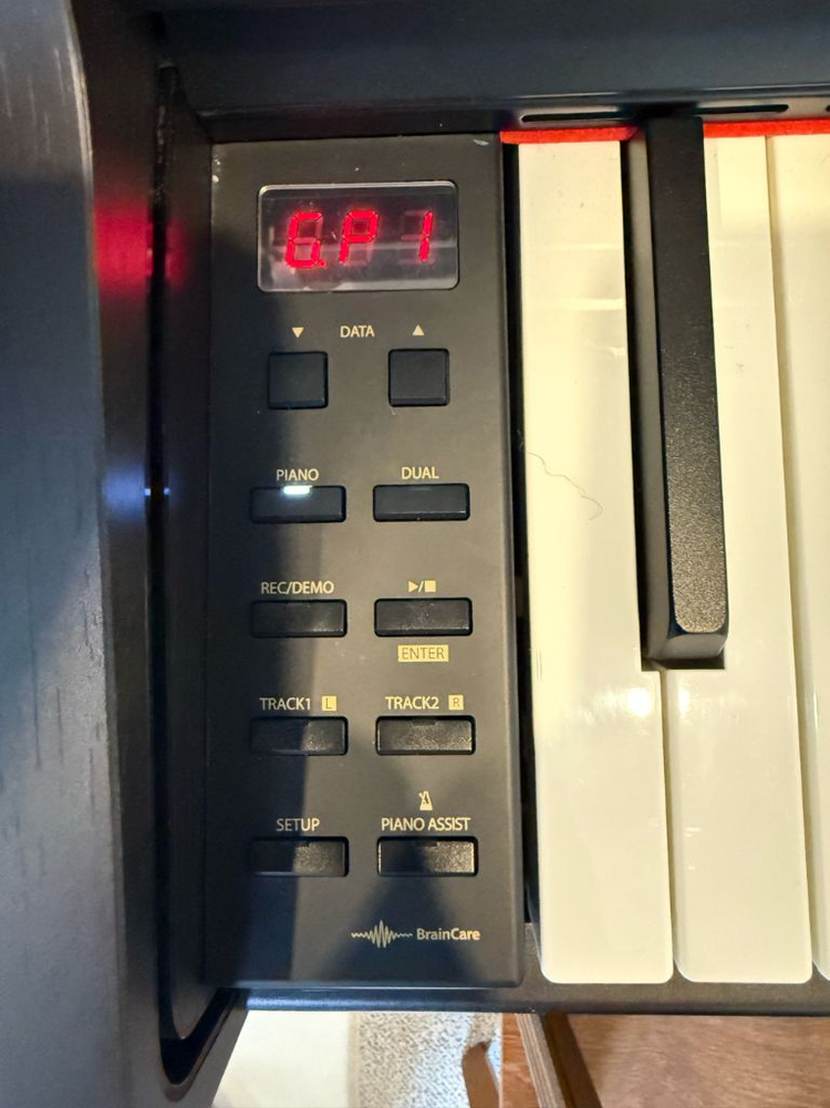 (거의 새거) 다이나톤 DT100 디지털 피아노 (로즈우드, 의자, 매트 포함) 이미지