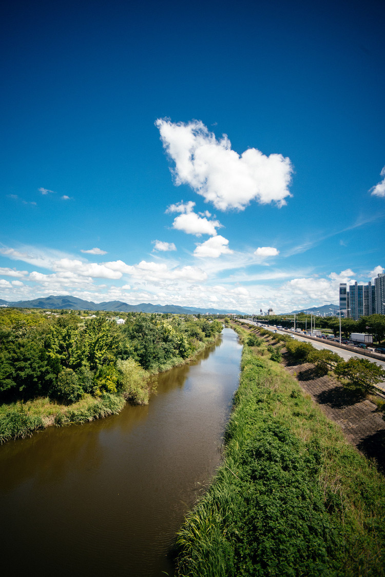 니콘 F마운트 수동 렌즈 탐론 Tamron SP 17mm F3.5 (151B) 소장급 풀셋(후드, 케이스 포함) 이미지