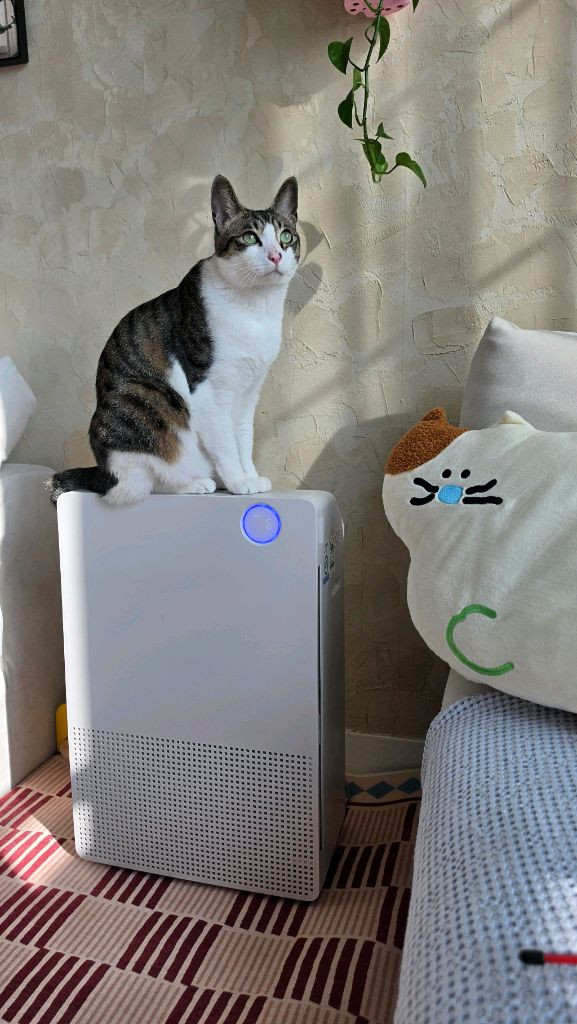 쿠쿠 인스퓨어 공기청정기 이미지