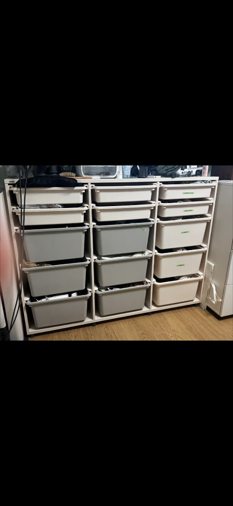 일룸 에디키즈 이미지