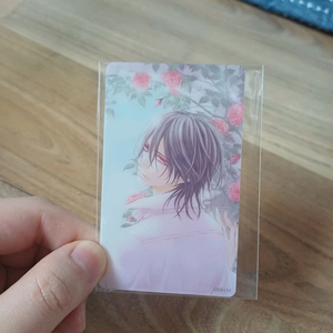 뱀파이어기사 굿즈들 이미지