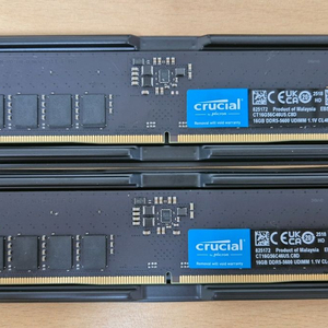 마이크론 크루셜 DDR5 32GB ( 16GB x2) 5600MHz 대원CTS 정품 이미지