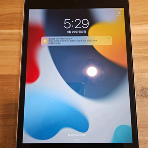 아이패드 미니4 wfi 128g 이미지