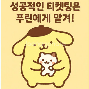 박효신 콘서트4일 무대라인쪽 티켓수령후 입금하세요 이미지