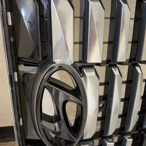 더뉴펠리세이드전면그릴 캘리그라피 이미지