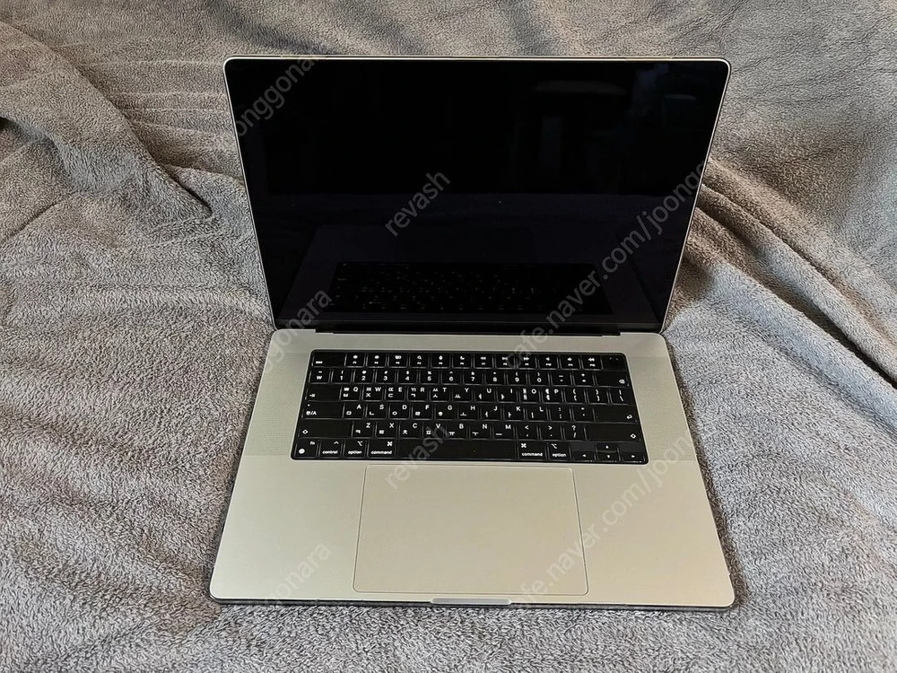 맥북프로 M4max 16" 16coreCPU /40coreGPU/ 48G Ram /2TB SSD-Silver 팝니다 이미지
