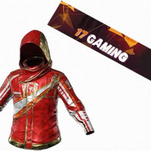 배그 17게이밍세트 스킨코드 이미지