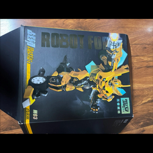 Weijiang]범블비, 알씨자매 이미지