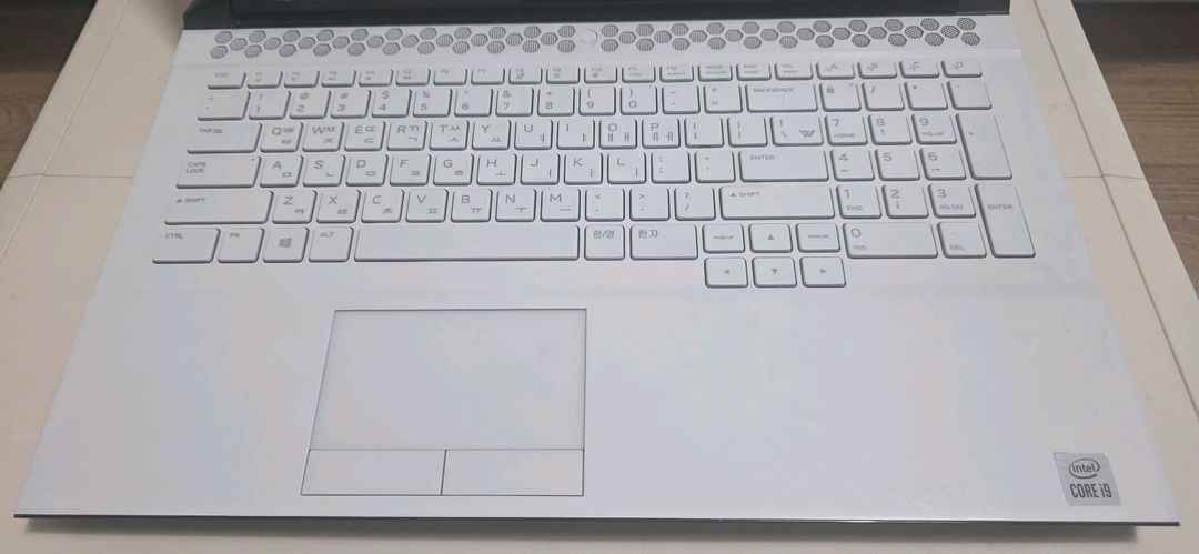 델에일리언웨어 51M R2 2080Super 360HZ게이밍노트북(풀박스 이미지