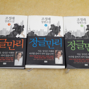 해냄 조정래 장편소설 정글만리 전 3권 이미지