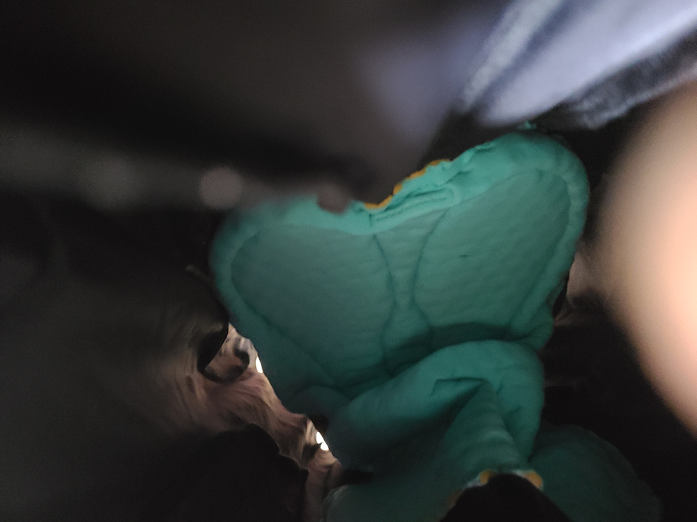 자전거 빕숏 이미지