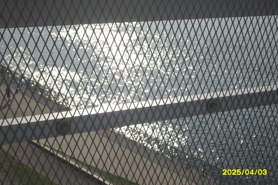 한효주디카 삼성 samsung VLUU ST550 이미지