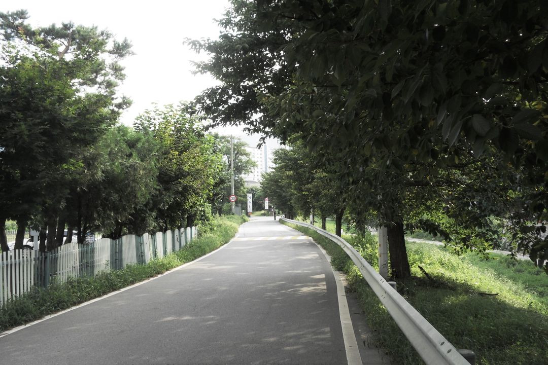 삼성 블루 samsung VLUU NV9 디지털카메라 이미지