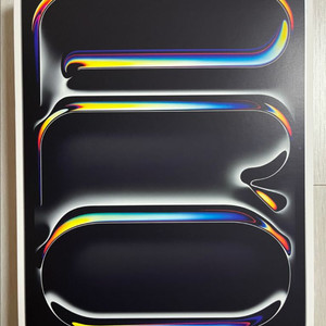 아이패드 프로13 M5 와이파이256 이미지