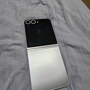 폴더블 스마트폰 실버 256GB 이미지