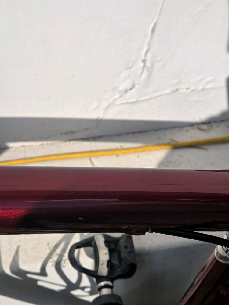 스페셜라이즈드 19년 타막 익스퍼트 SL6 52 판매합니다. 이미지