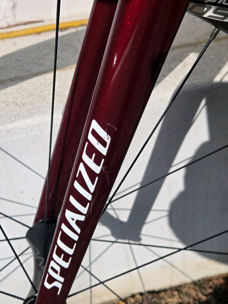 스페셜라이즈드 19년 타막 익스퍼트 SL6 52 판매합니다. 이미지