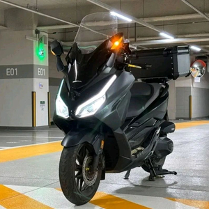 포르자350 3만8천 23년식 이미지