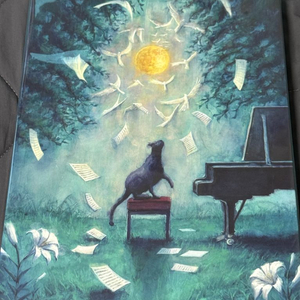 (네고 가능)요루시카 달과 고양이의 댄스 블루레이 초회한정판, 한정판엽서 이미지