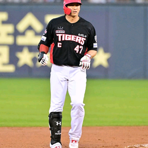 정가진행-금~일 NC vs KIA 내야석#%^ 이미지