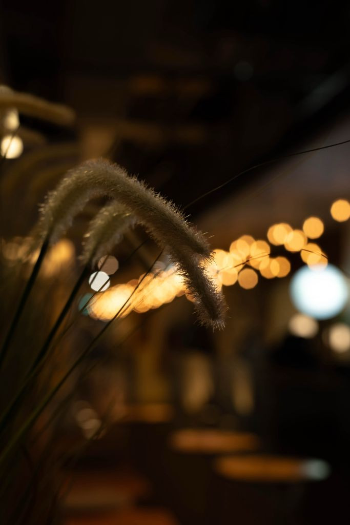 삼양 35mm F1.2 소니 E마운트 수동렌즈 이미지