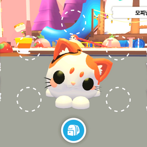 입양하세요 모찌냥 이미지