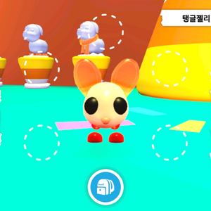 입양하세요 젤리쥐 이미지