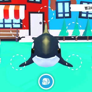 입양하세요 타는 범고래 이미지