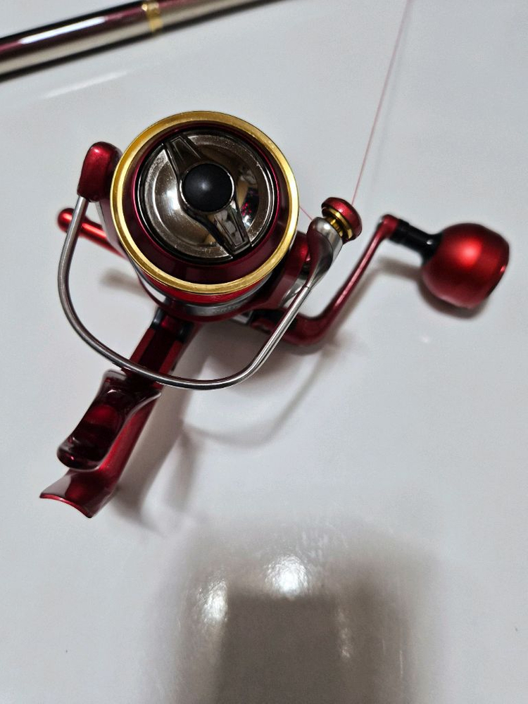 다이와릴 토너먼트 ISO 메가드라이에디션 2500LBD 이미지